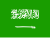 EverySavingKSA.com Flag Icon